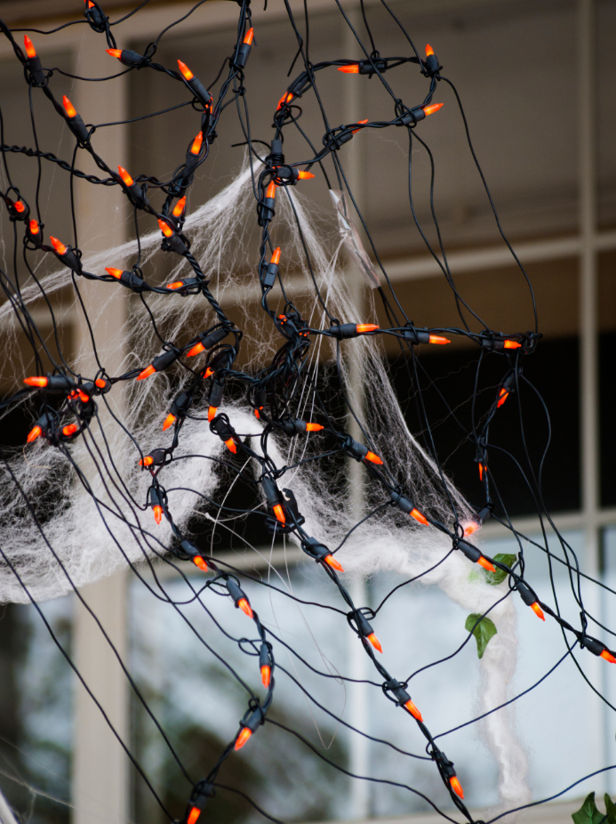 A Web of Lights Makes a Great Halloween Decoration